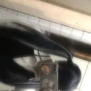 みちゃん
