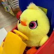 のらねこの画像