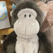 pekoの画像