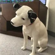 JSの画像