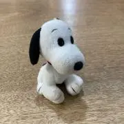 さっこ。の画像
