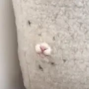 abの画像