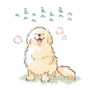 美茶の画像