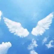 翼