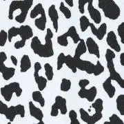 ゼブラ