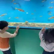 anchanの画像