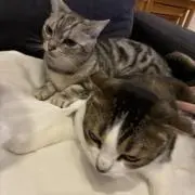 くぅ&はな