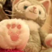 ゆなの画像