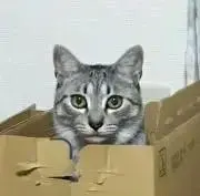 スズキの画像