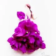 お花の画像