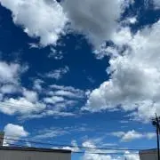 Tの画像