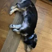 仁【フォロー割引実施中！】の画像