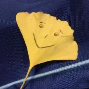ぴまこの画像