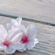 みーぉ