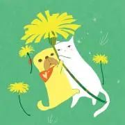 ⓂＳＨＯＰの画像