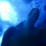 サシチ