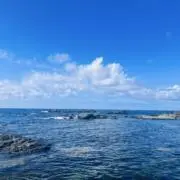 なやの画像
