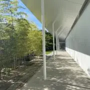 ふみの画像