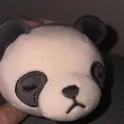 りなはの画像