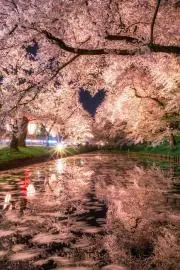 バッテラ（値下げ交渉・ご依頼歓迎♪）の画像