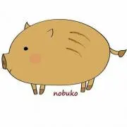 nobukoの画像