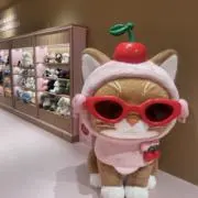 かたよんく