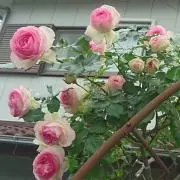 AN♡profileご覧下さい(^^)