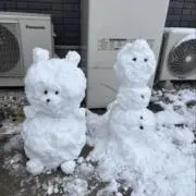 ティム