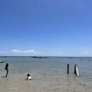 りりぷーこ
