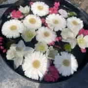 あーさんの画像