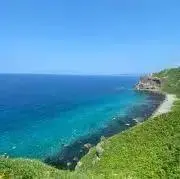 berokia