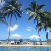 Beachの画像