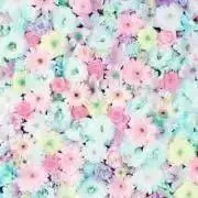 (只今アクセサリー販売中止)の画像