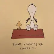 k_の画像