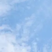 ぴの画像