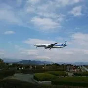 ノコちん
