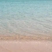 あきの画像