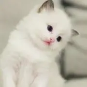 pi☆の画像
