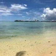 ピーナツの画像