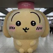 ♡値下げ中の画像