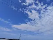 ごはんまんの画像