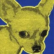 tmyoungerの画像