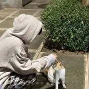 まの画像