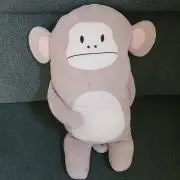 サーたん