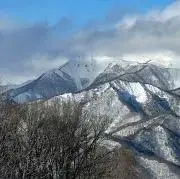 Yoshiの画像