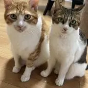アマブン❦Ꙭ年中無休　無言取引御無礼の画像