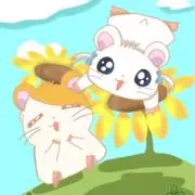 かんぱち断捨離中の画像