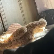 pの画像