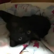 まっすー