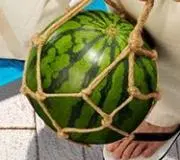 さささ【即購入OK】の画像